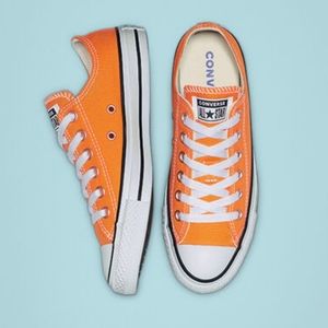 Seasonal Color Converse Chuck Taylor All Star